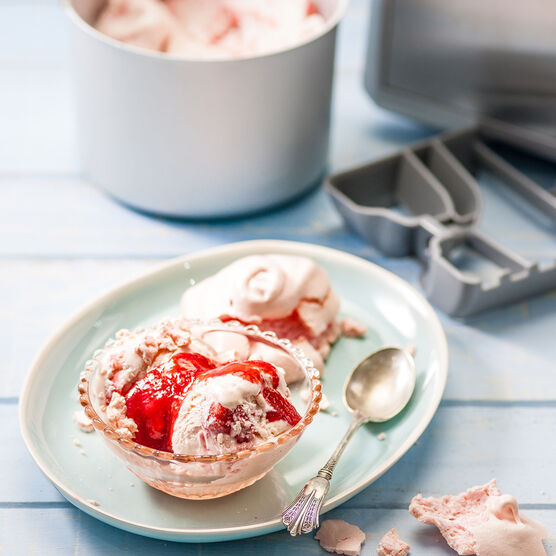 Ice Cream & Gelato Professional